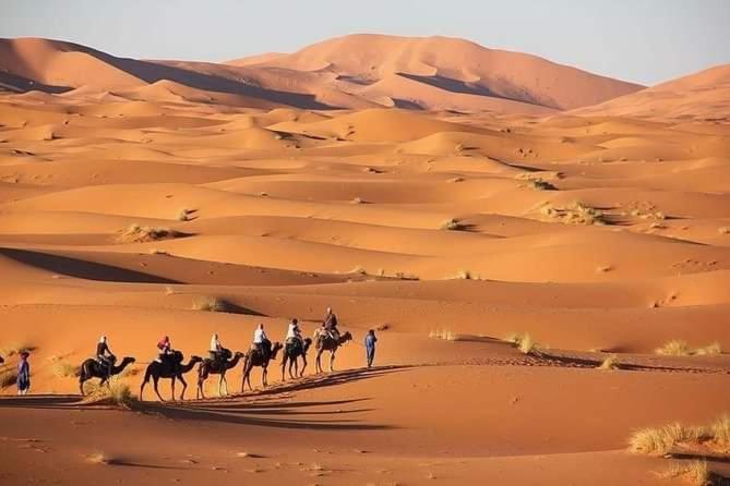 Merzouga Camel Trekking Camp Extérieur photo